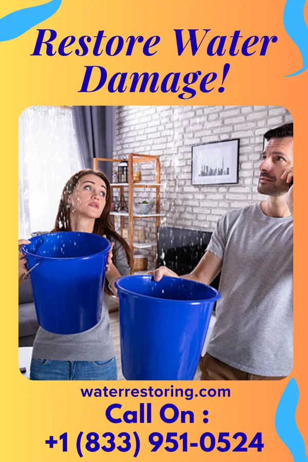 water restoration Patriot Water Mitigation Partners Morristown
