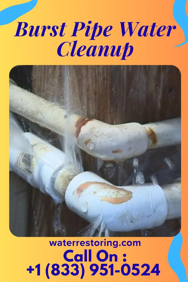 Burst Pipe Water Cleanup in Morristown, TN