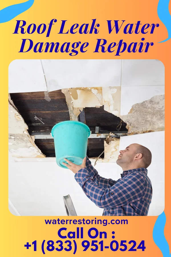 Roof Leak Water Damage Repair in Morristown, TN